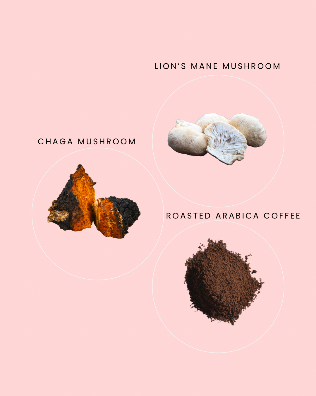 Sol Mushroom Coffee (Medium Roast)